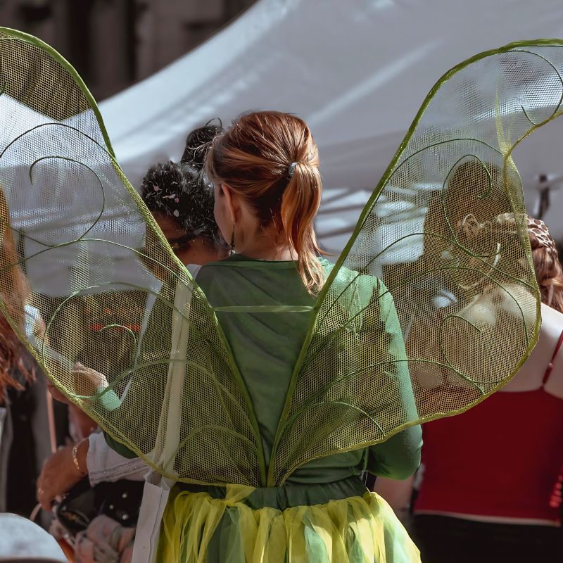 Meritxell Palou - Saint Sant Jordi 2026 - 1